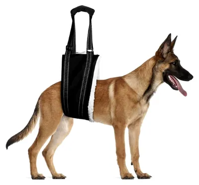 Produktbild von Einstellbare Gehhilfe für Hunde, Gehhilfe für die Rehabilitation von älteren, verletzten oder behinderten Hunden in verschiedenen Größen
