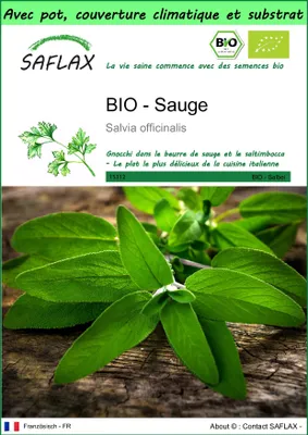 Image de SAFLAX Garden to go -- Sauge - 60 graines - Salvia
