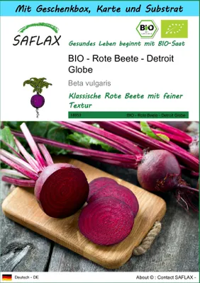 Produktbild von SAFLAX - Geschenk Set - BIO - Rote Beete - Detroit Globe - 100 Samen - Mit Geschenk- / Versandbox, Versandaufkleber, Geschenkkarte und Anzuchtsubstrat - Beta vulgaris