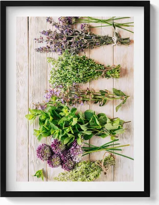 Produktbild von Pflanzen und Kräuter auf Brettern– Wandbild mit Rahmen – Gerahmtes Bild  – Wanddekoration – 60x80 cm –  Schwarz Rahmen