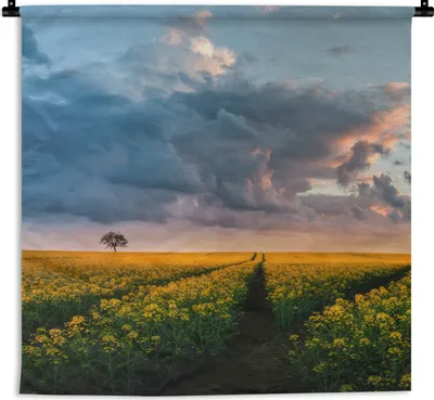 Produktbild von MuchoWow® Wandteppich Wandbehang Blumen - Gelb - Sonnenuntergang 150x150 cm Tapisserie Dekoration Wandtuch - Wohnaccessoires - Modernes