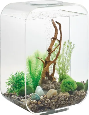 Produktbild von Dekoratives 15-liter-aquarium mit transparentem rahmen Oase LIFE 15 MCR TRANSPARENT