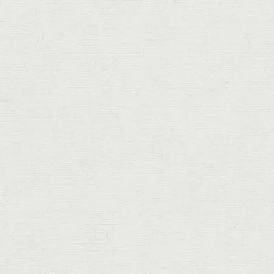 Zdjęcie produktu dla Tapeta flizelinowa 10430-01 Jednokolorowa tapeta gładka 0,53 x 10,05 m Erismann Gentle White
