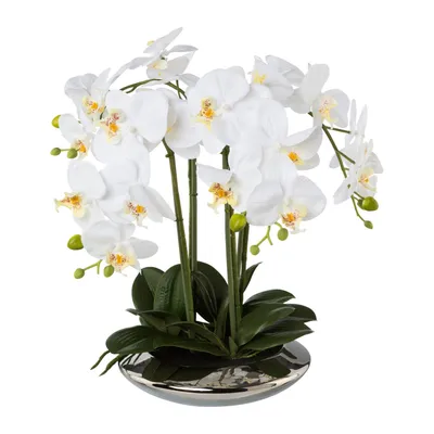 Produktbild von künstliche Orchidee Phalaenopsis H. 41cm weiß in silberner Keramikschale GASPER
