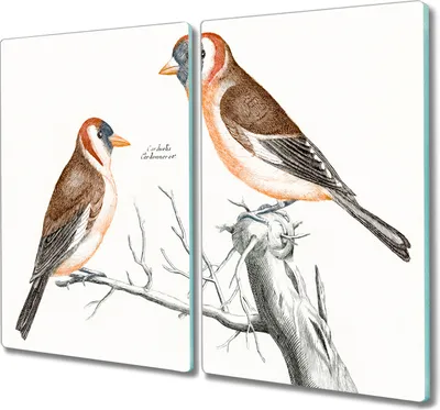 Produktbild von Coloray Kochplattenabdeckung Herdabdeckplatte 2x30x52 cm Hackbrett Schneidebrett Küchenbrett - Tier Vogel Zweig