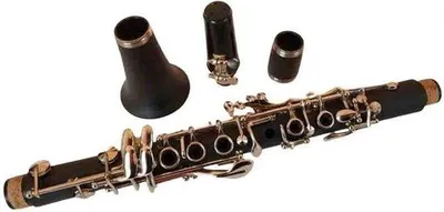 Produktbild von Famanu Klarinette mit Koffer - Professionelles Blasinstrument - Schwarz