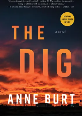 Produktbild von The Dig
