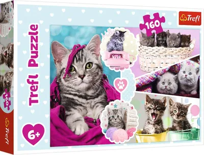 Image de Puzzle « Chatons », 160 pièces, pour le plaisir de tous les âges