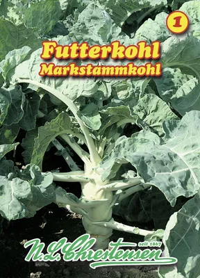 Produktbild von [STREICHUNG 2025] Markstammkohl (Futterkohl) (30 g) | Markstammkohlsamen von N.L. Chrestensen
