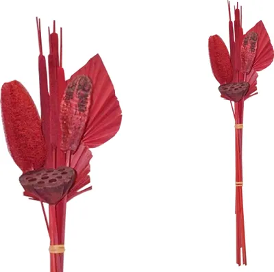 Produktbild von BOHO Trockenblumenstrauß gemischt Little Palm Rot 64 cm
