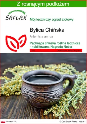 Zdjęcie produktu dla SAFLAX - Bylica Chińska - 250 Nasiona - Z podłożem uprawowym wolnym od zarazków - Artemisia annua