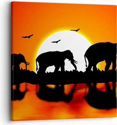 Produktbild von Bild auf Leinwand - Leinwandbild - Tiere Afrikaner Elefanten Natur - 30x30cm - Wand Bild - Wanddeko - Leinwanddruck - Bilder - Kunstdruck - Wanddekoration - Leinwand bilder - Wandkunst - AC30x30-0533