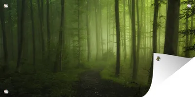 Produktbild von MuchoWow®