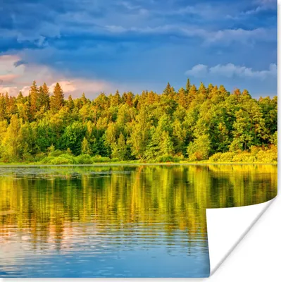 Produktbild von MuchoWow® Poster Wasser - Natur - Wald 75x75 cm - Wand Dekoration