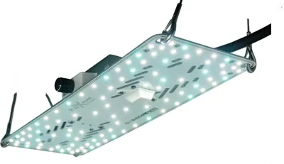 Produktbild von Crescience FLUXshield Habibi 150 | 50W Vollspektrum | Grow Pflanzenlampe LED für 60x60cm | Wachstum & Blüte