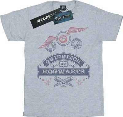 Produktbild von Harry Potter - "Quidditch At Hogwarts" T-Shirt für Herren BI29119 (XXL) (Grau)