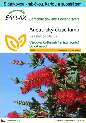 Obrázek produktu pro SAFLAX Dárková sada - Australský čistič lamp - Callistemon citrinus - 400 Semena - S dárkovou krabičkou, přepravním štítkem, dárkovou kartou a pěstebním médiem
