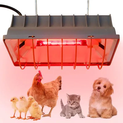 Imagen del producto de Lámpara de calor para pollitos, lámpara para pollitos de 175 W