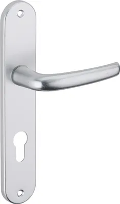 Image de Ensemble de poignées pour porte d'entrée Maia trou de cylindre, carré 7mm, entr'axes 195mm, argent - THIRARD