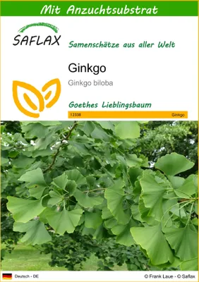 Produktbild von SAFLAX - Ginkgo - Ginkgo biloba - 4 Samen - Mit keimfreiem Anzuchtsubstrat