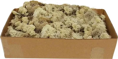 Productafbeelding van Rendiermos naturel 500g My Village