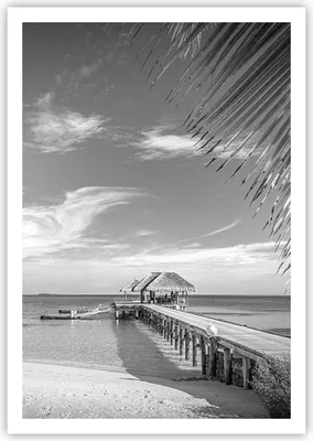 Produktbild von Poster - Poster ohne Rahmen - Himmlisch Strand Monochrom - 70x100 cm - Wand Bild - Wanddeko - Wandbilder - Kunstposter - Wandposter - Bilder - Kunstdruck - Wanddekoration - Wandbild - P2XPA70x100-4750