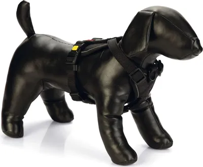 Produktbild von Beeztees Parinca Premium Y-Geschirr - Hundegeschirr - Nylon - schwarz -