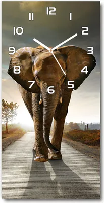 Produktbild von Wanduhr aus Glas – 30x60 cm - Glasbild - Glasuhr - Gehärtetes Glas -Schlendernder Elefant