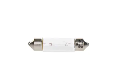 Zdjęcie produktu dla Żarówka Pure Light 12V 10W Kartonik - 10Szt.