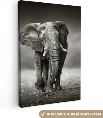 Obrázok produktu pre MuchoWow® - Plátno - Slon - Čierna - Biela - Namíbia, nástenný obraz, nástenné dekorácie obrazy obývacia izba, 80x120cm