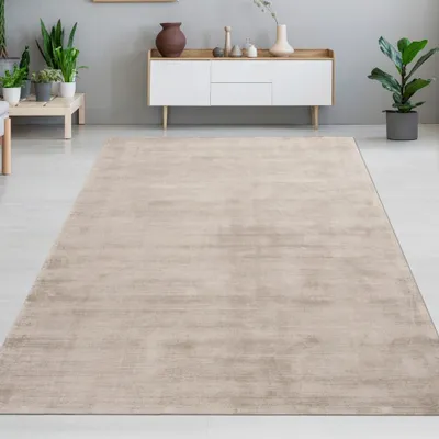 Produktbild von Handgefertigter Qualitativer Wohnzimmerteppich ohne Muster in beige Größe - 120 x 170 cm