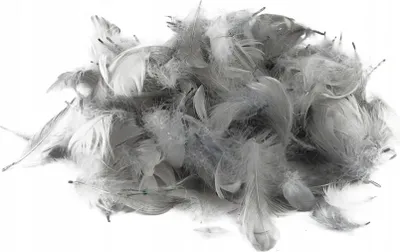 Zdjęcie produktu dla Szare piórka 10–12 cm, opakowanie 50 szt.