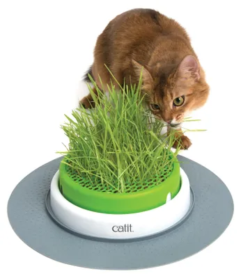 Productafbeelding van Cat It CA 2.0 Grass Planter