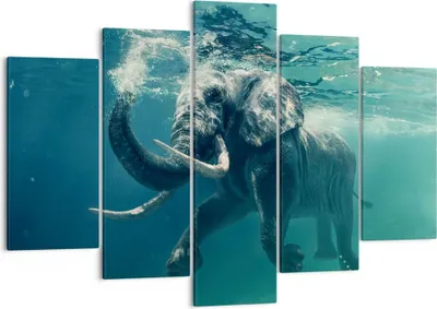 Produktbild von Bild auf Leinwand - Leinwandbild - Elefant Tier Wasser - 150x100cm - Wand Bild - Wanddeko - Leinwanddruck - Bilder - Kunstdruck - Wanddekoration - Leinwand bilder - Wandkunst - EA150x100-3944