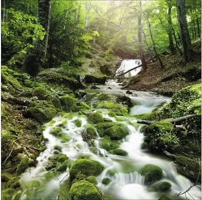 Produktbild von Leinwandbild Mystic Ways 40x40 cm