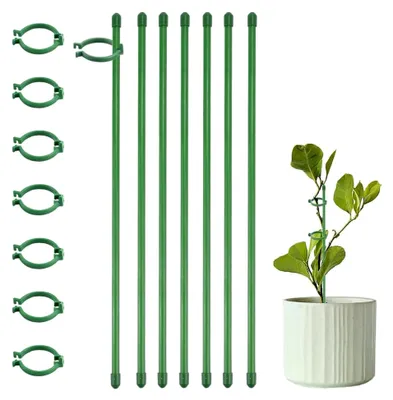 Produktbild von 18 Stück Pflanzenstützen 30 cm für Orchideen und Zimmerpflanzen
