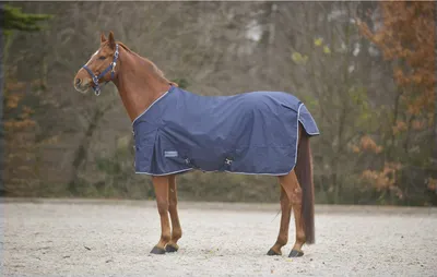 Produktbild von Waldhausen Outdoordecke 0g Comfort Regendecke Marine 145 cm