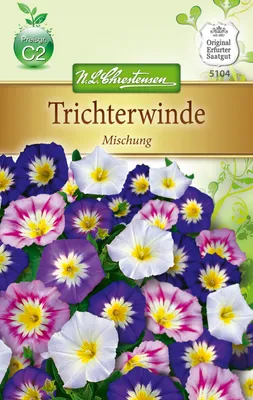 Produktbild von Trichterwinde Mischung  | Windensamen von N.L. Chrestensen