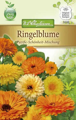 Produktbild von Ringelblume Pacific Schönheit | Ringelblumensamen von N.L. Chrestensen