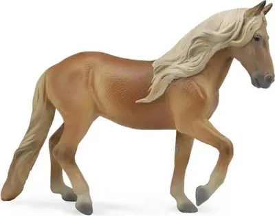 Immagine prodotto di Cavallo Paso Peruano di colore marrone