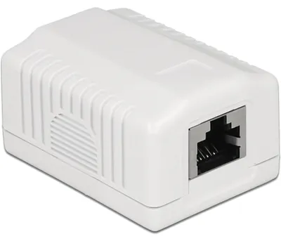 Image de DELOCK Anschlussdose 1Port Cat.6A LSA