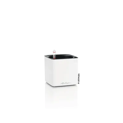 Produktbild von LECHUZA-Tischgefäß CUBE Premium 14 Weiß Matt | Pflanzgefäß mit Bewässerungssystem | matte Oberfläche | 14 x 14 x 13,5 cm | 13500