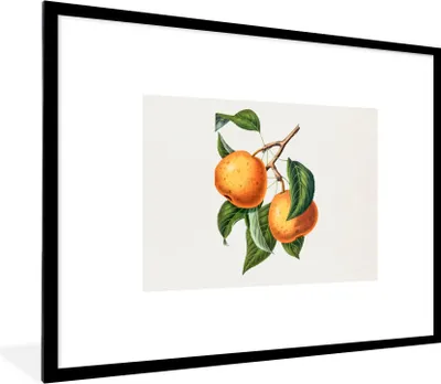Produktbild von MuchoWow® Gerahmtes Poster Obst - Baum - Lebensmittel 80x60 cm - Poster mit Schwarzem Bilderrahmen Wandposter Rahmen Foto Bilder - Schlafzimmer-Dekorationen - Fotoposter