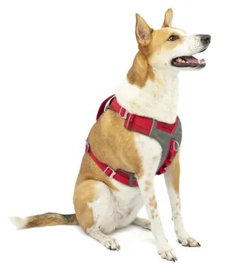 Image de Harnais Kurgo Journey Air, couleur : rouge, taille : L