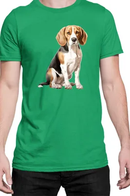Immagine prodotto di Maglietta da uomo Dogs Breeds Beagle Dog Breed 008, Man L , Vert