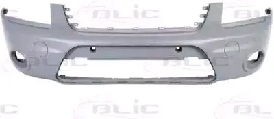 Produktbild von BLIC Stoßstange Stoßfänger für FORD TRANSIT CONNECT (P65, P70, P80) 5510-00-2507909Q