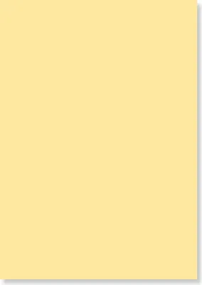 Produktbild von POLI-TAPE Premium Flex Bügelfolie A4 21x29.7 cm Beige/Puder