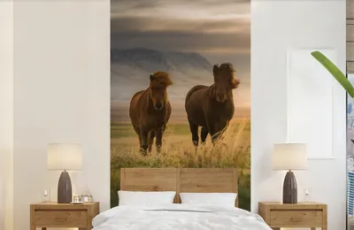 Produktbild von Fotobanner - Pferde - Luft - Gras - Breite 120 cm x Höhe 240 cm