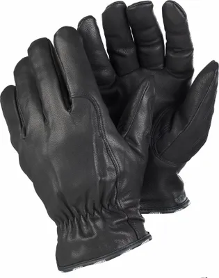 A pair of black leather gloves is shown against a white background.