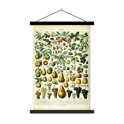 Produktbild von MuchoWow® Textilposter Adolphe Millot - Jahrgang - Obst - Birne - Trauben 60x90 cm mit schwarzem Rahmen - Poster Wohnzimmer